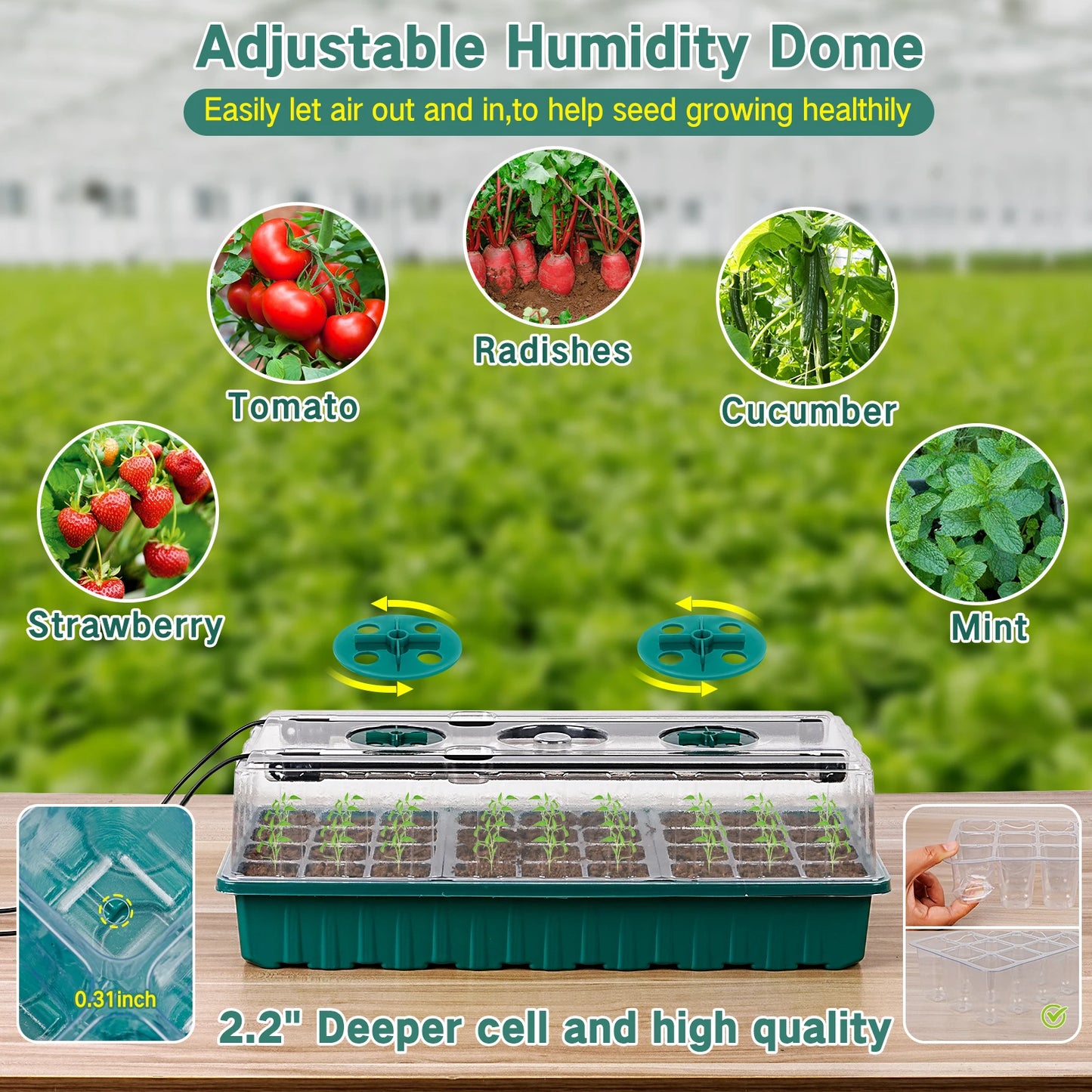 Seed starter tray with grow light