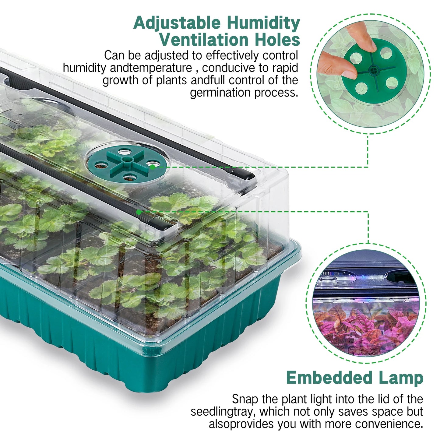 Seed starter tray with grow light