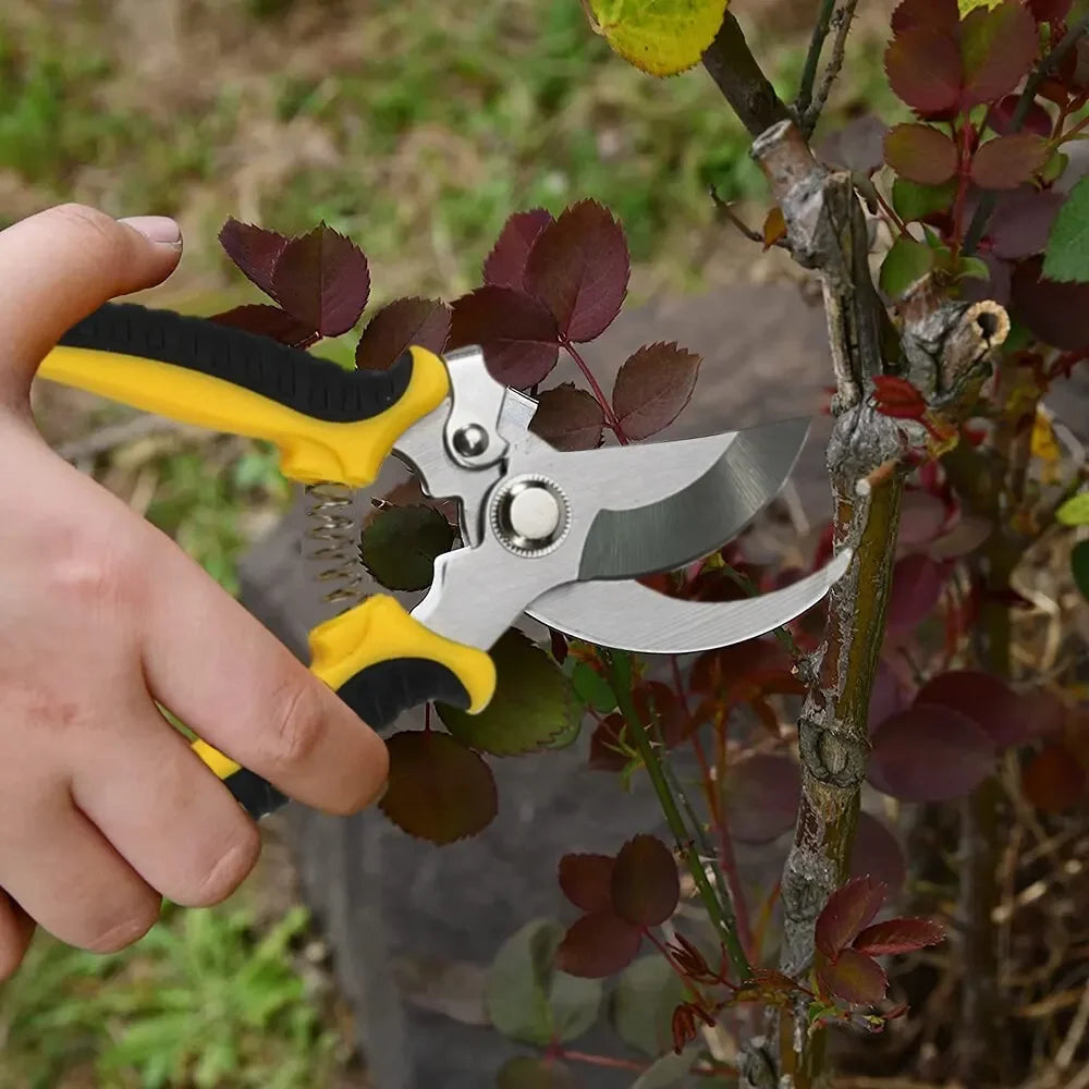 Garden Pruning Shears