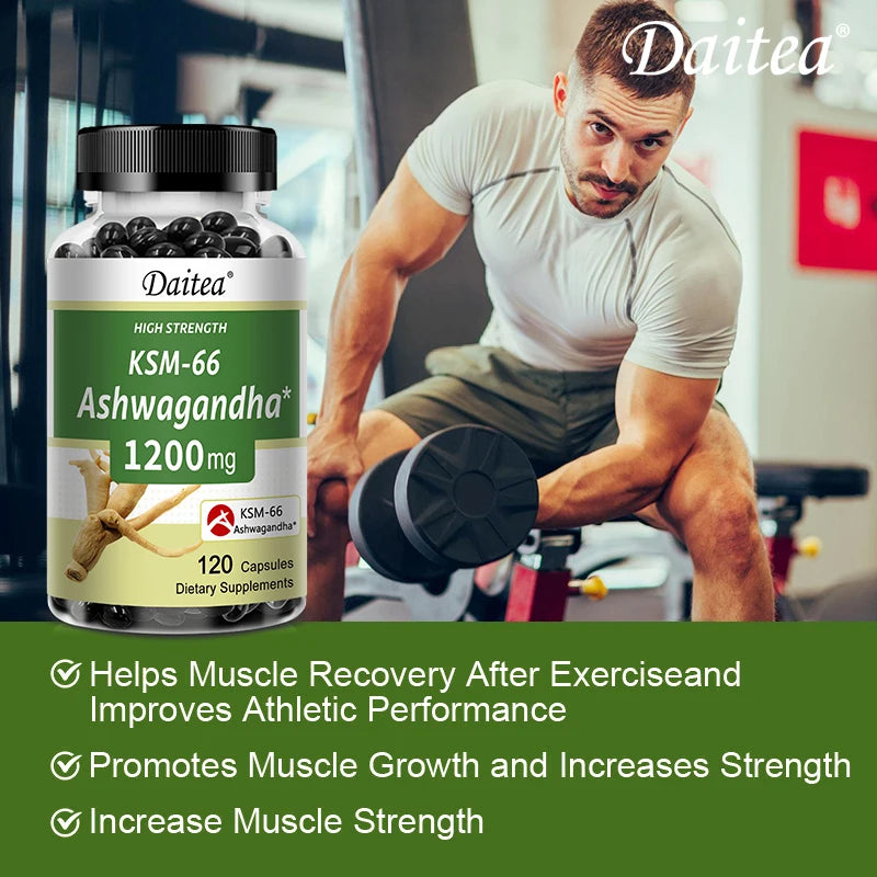 Ashwagandha 1200 mg Capsules