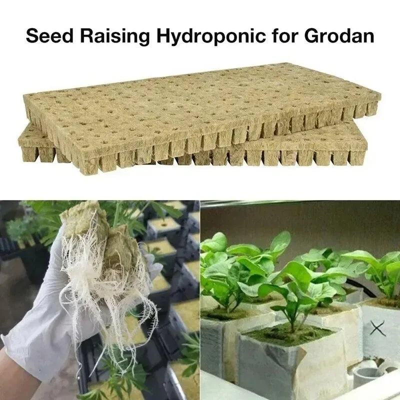 Stonewool Hydroponic Grow Media Cubes