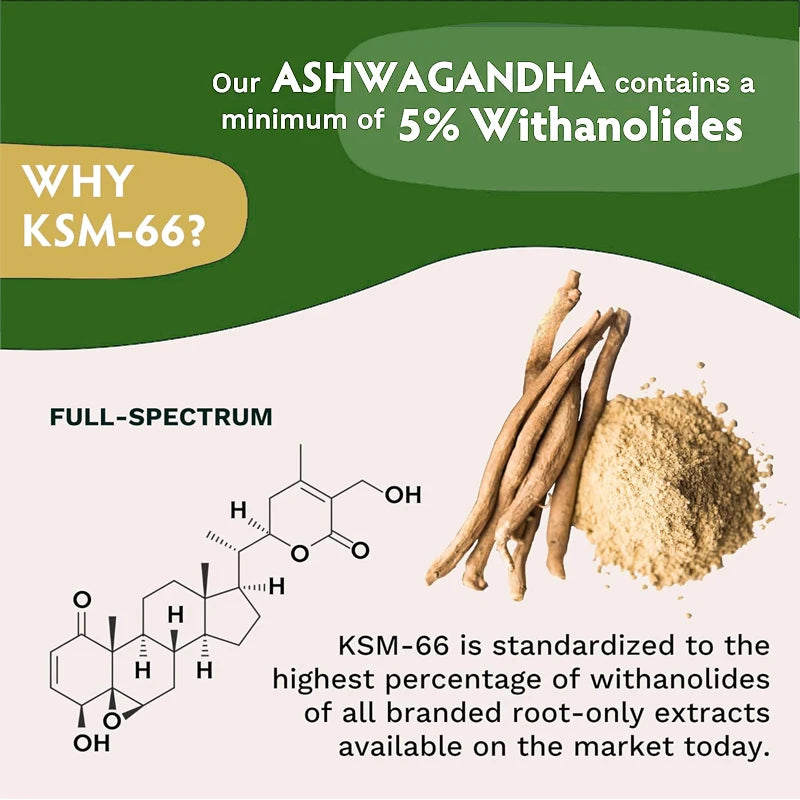 Ashwagandha 1200 mg Capsules