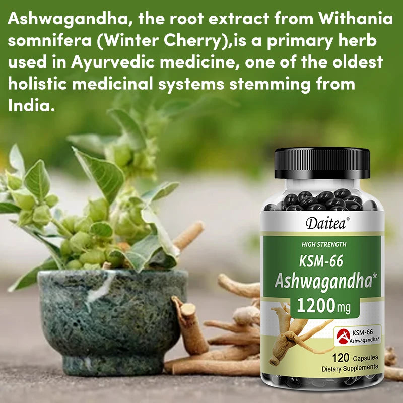Ashwagandha 1200 mg Capsules