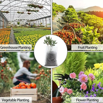 100pcs Biodegradable Seed Nursery Bags
